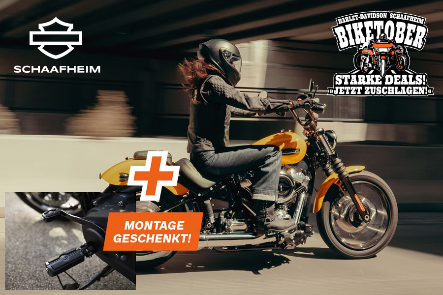 Softail Harley-Davidson Street Bob 2025