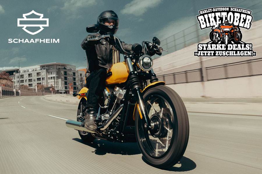 Softail Harley-Davidson Street Bob 2025