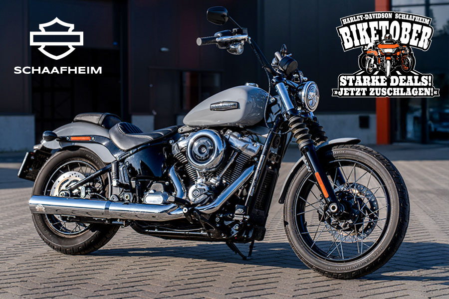 Softail Harley-Davidson Street Bob 2025