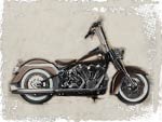 Harley-Shop Langer Softail Umbau Psychobilly Custombike Harley-Davidson Softail Custombike Umbau Psychobilly