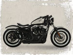 Sportster Custombike 48